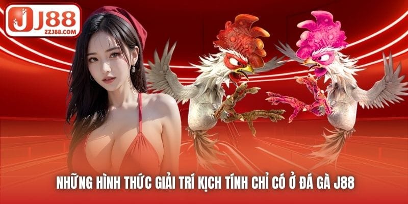 Những hình thức giải trí kịch tính chỉ có ở Đá Gà J88