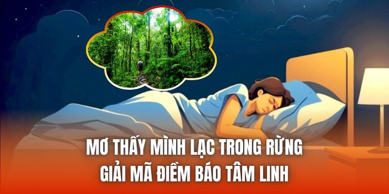 Mơ Thấy Mình Lạc Trong Rừng | Giải Mã Điềm Báo Tâm Linh